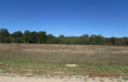 291 KLEEHAMMER CLUB DRIVE, KALKASKA, MI 49646