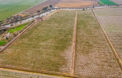 1707 W Bowman Rd, French Camp, CA 95231