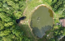 8920 Ora Lake Road, Hale, MI 48739