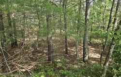 Old Hurricane Road, Wise, VA 24293