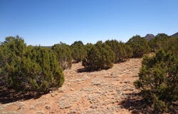2 Camino Del Sol Road, Bernal, NM 87569