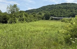 3988 Kentucky 592, Pine Knot, KY 42635