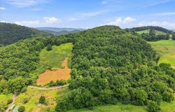 Gravely Valley Road, Eidson, TN 37731