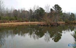 193AC County Road 1069, Vinemont, AL 35179