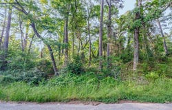 Forest Hill Drive, Frankston, TX 75763