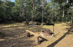 3544 S Cornell Avenue, Baldwin, MI 49304