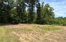 Tupelo Rd, Dozier, AL 36028