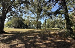 4645 Carters Ferry Rd E, Milam, TX 75959