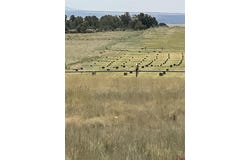 9966 CR 7, Dove Creek, CO 81324