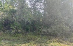 Old Grade Road, FL 33868