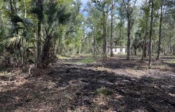 SW 595th Ave, Horseshoe Beach, FL 32648