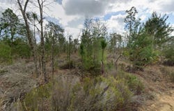 427 Dothan St, Interlachen, FL 32148