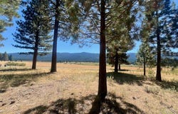 412 Valley Ranch Drive, Clio, CA 96106