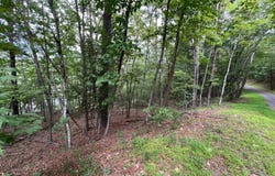 FAWN Drive, BASYE, VA 22810
