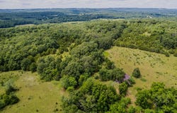 Co Rd 539, Ava, MO 65629
