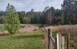 NW ROLLING HILLS DRIVE, Madison, FL 32340