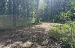 Tranquility Ln, Moselle, MS 39459