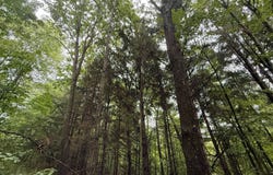 Pickens Rd., Aliquippa, PA 15001
