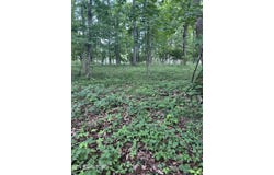 26 Rolling Green Court, Fairfield Glade, TN 38558