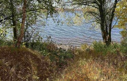 Off East Shore Road, Marenisco, MI 49947