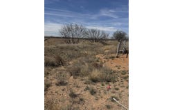County Rd 3155, Ira, TX 79527