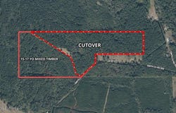 Smith County Rd 559, Pulaski, MS 39152