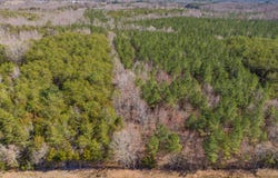 Atkins Road, Mebane, NC 27302
