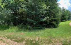 11 BALD EAGLE Dr, Morris Chapel, TN 38361