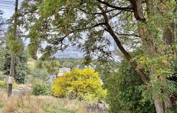 540 SE McKenzie St, Pullman, WA 99163
