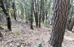 Upper River Ave. lot: 6 Blk, Dunsmuir, CA 96025