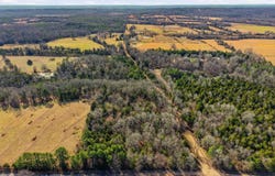 Roger Wooten, Springfield, AR 72157-9678
