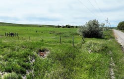 2nd Road NW, Fairfield, MT 59436