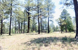 3235 S Tehama Circle, Flagstaff, AZ 86005