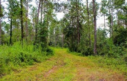 PID 29607 Ben Dunn Road, Hudson, TX 75904
