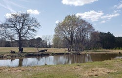 716 Augusta Road, Edgefield, SC 29824