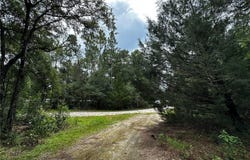 NE 155TH Court, WILLISTON, FL 32696