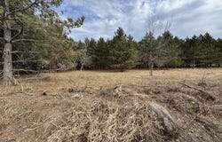 FOUNTAIN GROVE Road, AMHERST, WI 54406