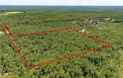 804 SHELL HARBOR Road, PIERSON, FL 32180