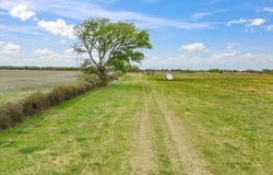 Fm-1655, Chico, TX 76431