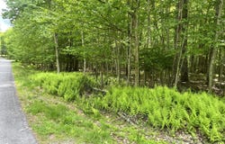 631 Sun Valley Drive, Tafton, PA 18464