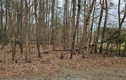 Franklin Street, Clarksville, VA 23927