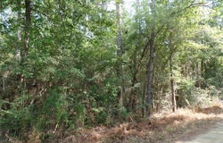 795 County Road 580, Call, TX 75933
