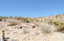 319-06-002B 20th street, Dolan Springs, AZ 86441