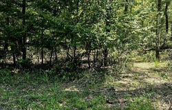 312th Ave, Old Town, FL 32680
