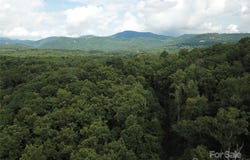 Pounding Mill, Hendersonville, NC 28792