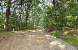 Poor Mountain Rd, Bent Mountain, VA 24059