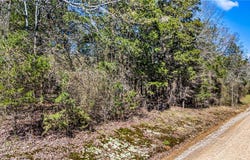 RIVERSIDE Road lot: 0, Delaware, AR 72835