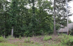 Moonlight Bay Dr, Sparta, TN 38583