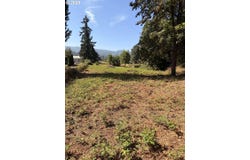McKenzie Hwy, Springfield, OR 97477