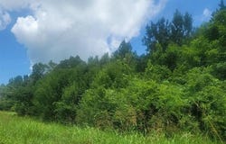 0 Hwy 280, Harpersville, AL 35078